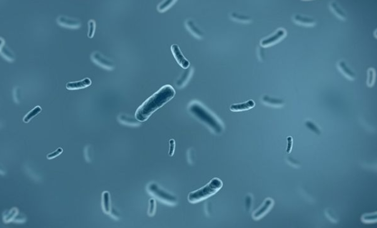 试管进周前可不可以吃头孢克肟介绍，对卵巢影响不得不知